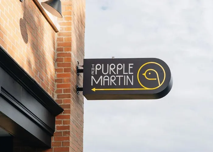 The Purple Martin - The Odd Bird